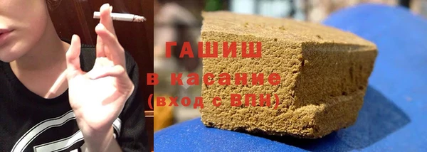 сатива Аркадак