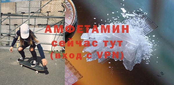 сатива Аркадак
