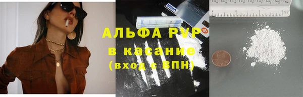 стафф Арсеньев