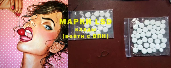 сатива Аркадак